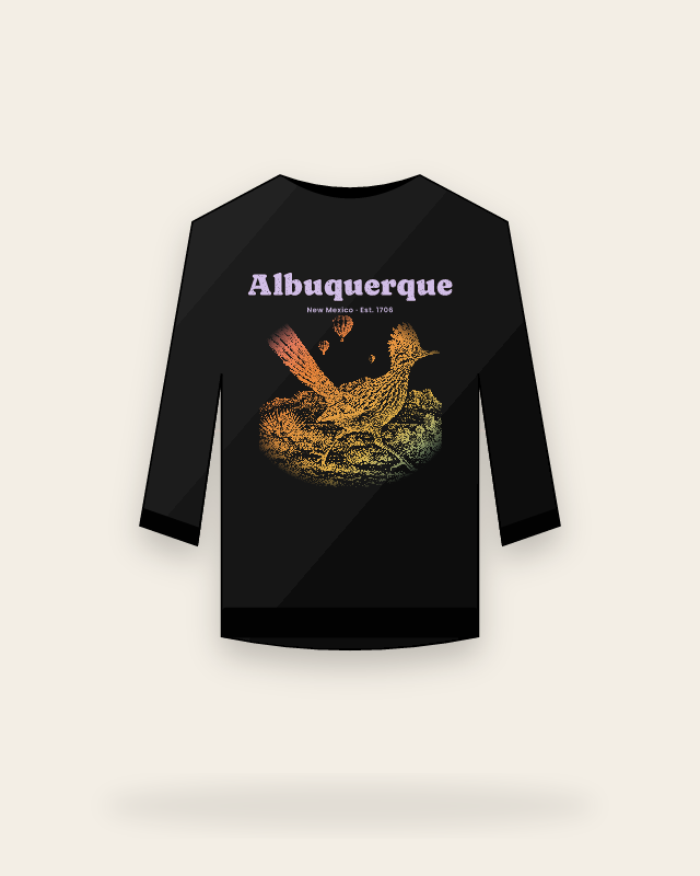 Albuquerque, New Mexico sweatshirt