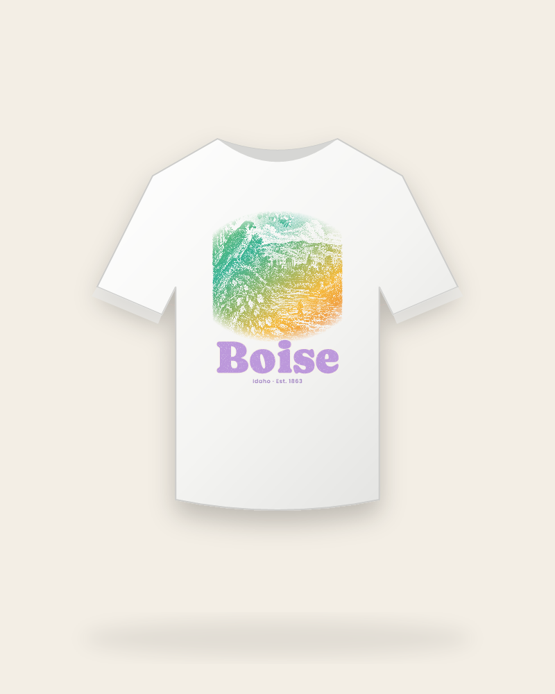 Boise River Falcon Youth Tee