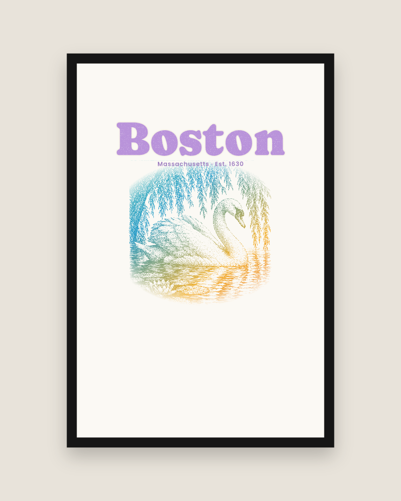 Boston Public Garden Swan Matte Poster