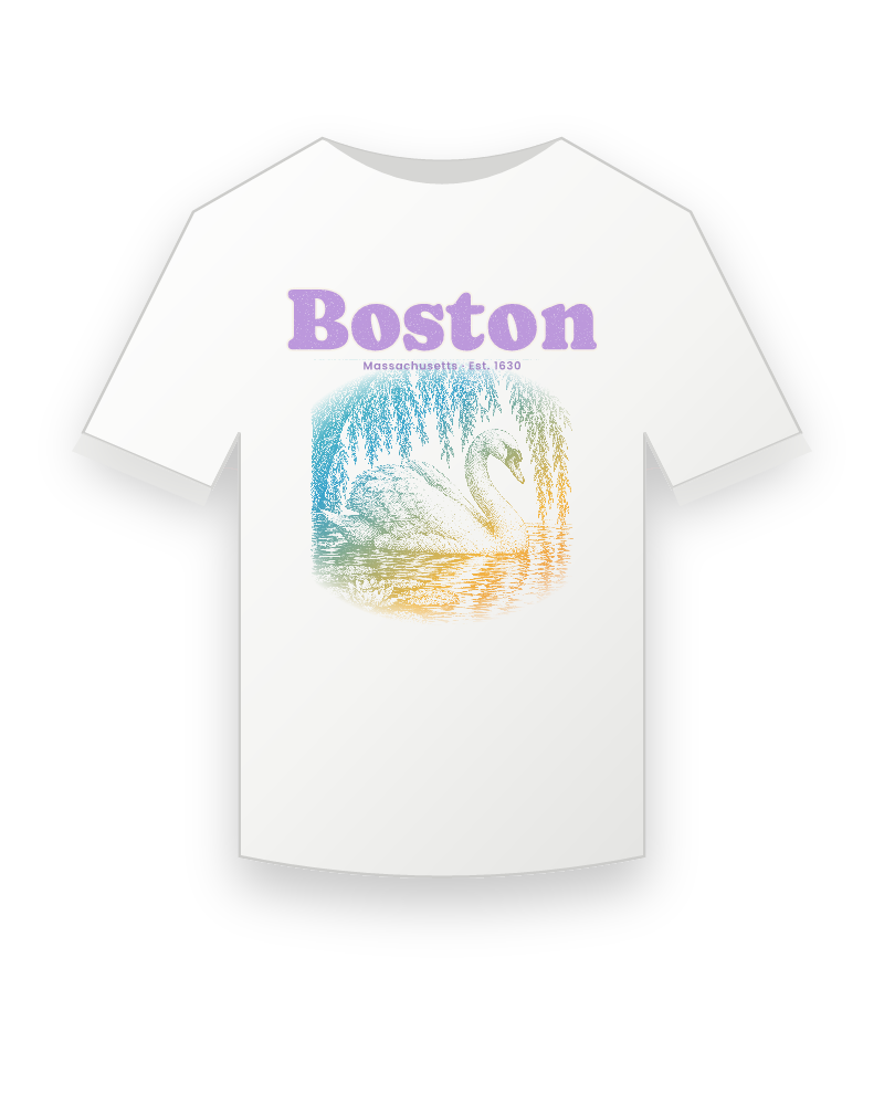 Boston Public Garden Swan Youth Tee