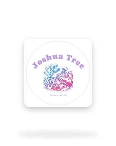 Joshua Tree & Tortoise