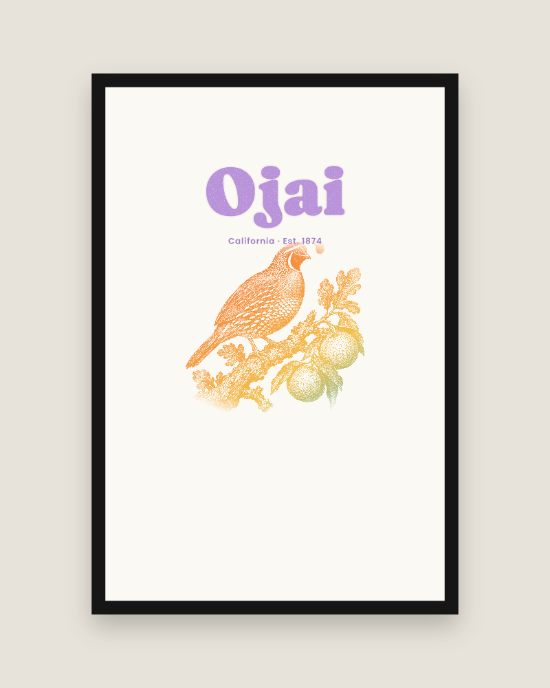 Ojai California Quail Matte Poster