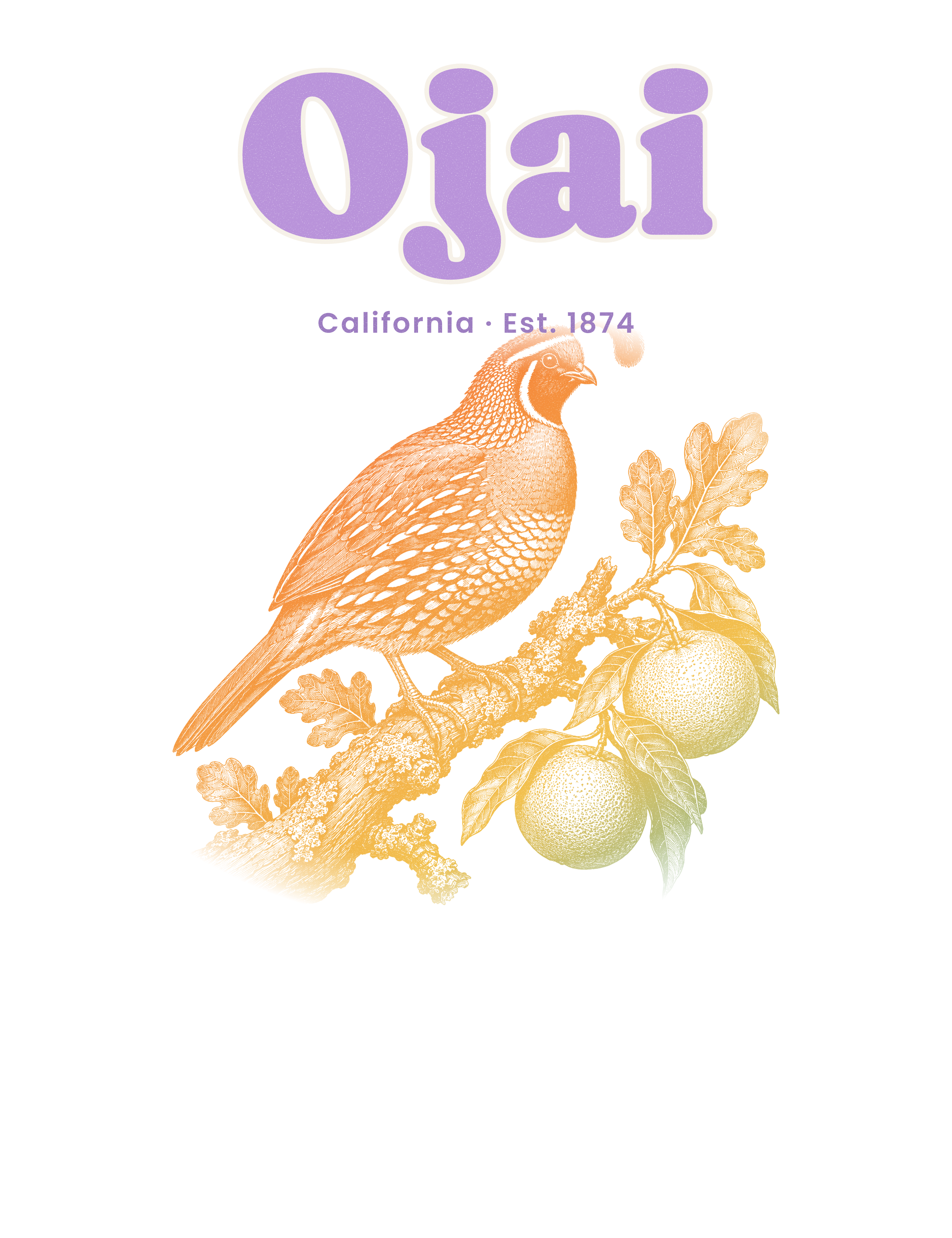 Ojai California Quail artwork