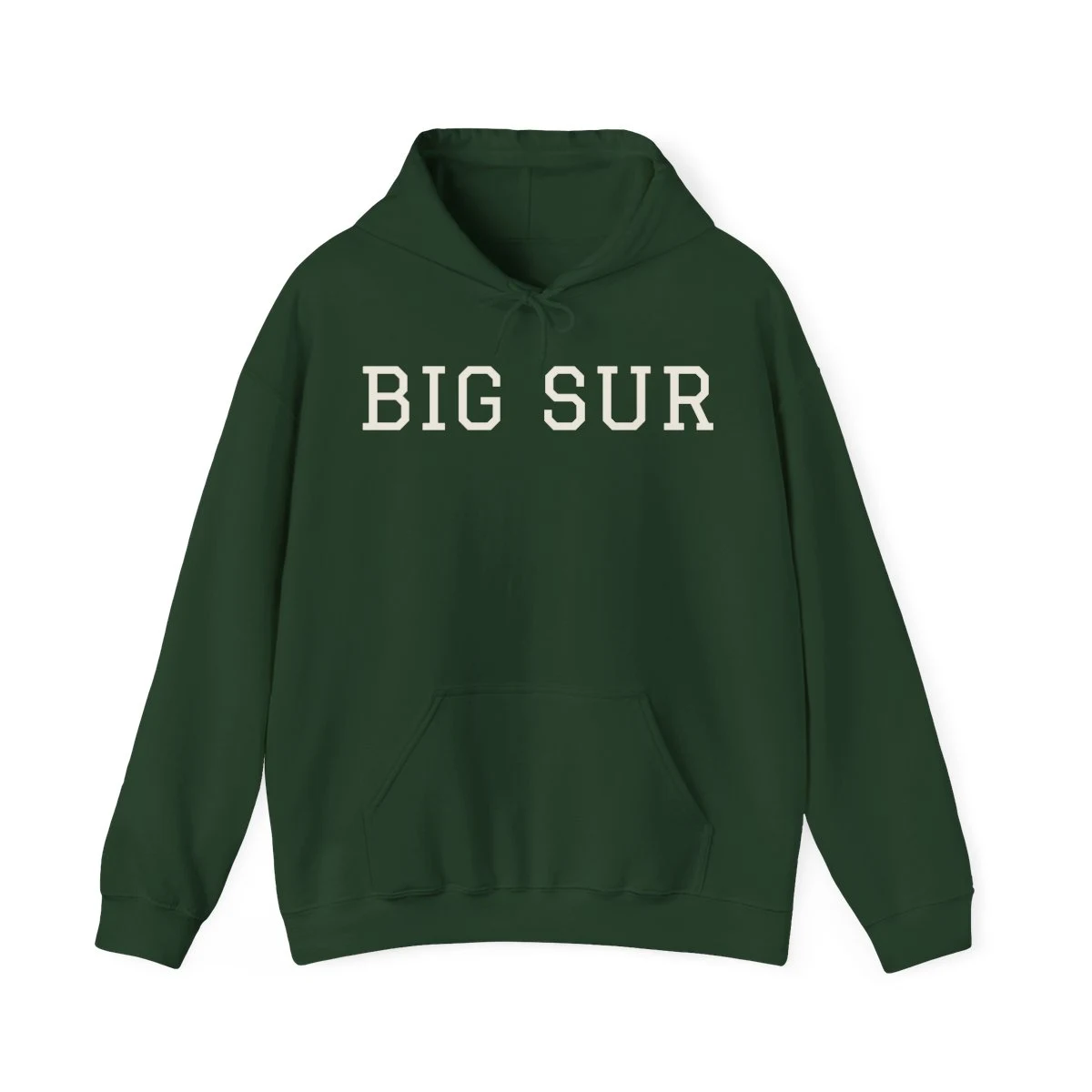 Big Sur Varsity Hooded Sweatshirt in Forest Green